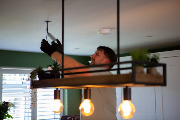 Best Electric Panel Repair  in Lochmoor Waterway Estates, FL